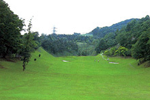 �S���t��ʐ^